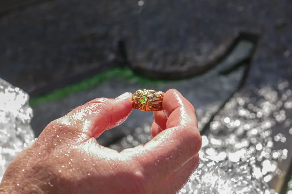 IMGP7187.webp